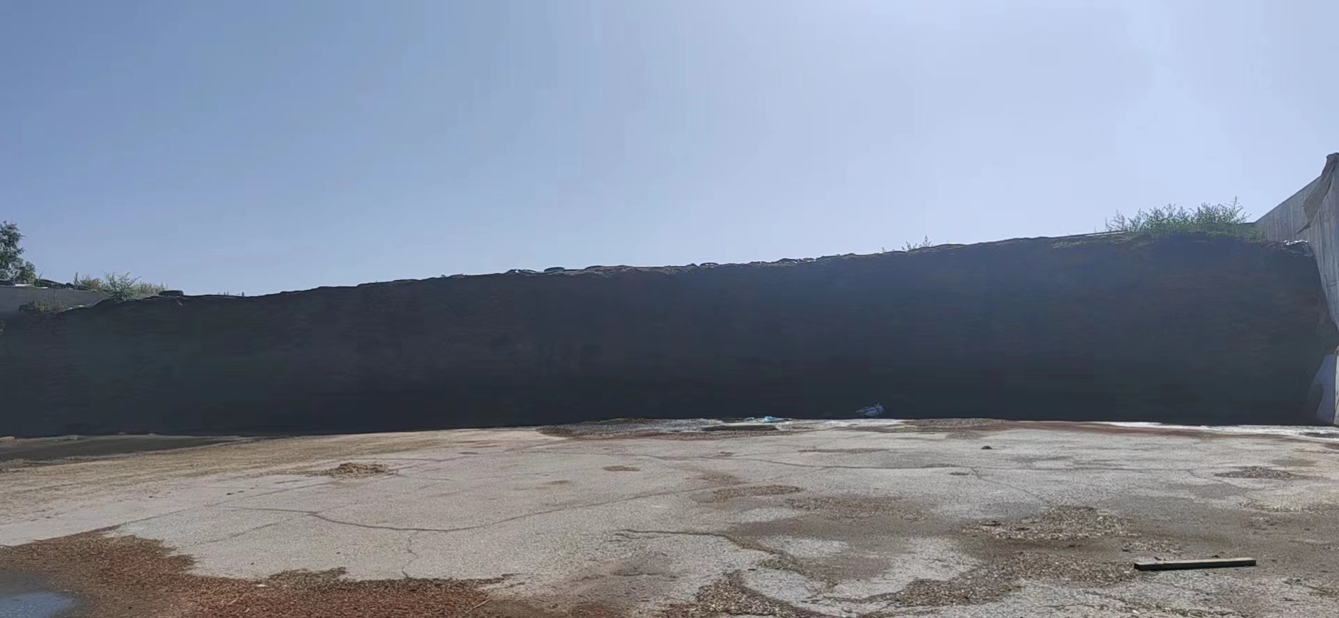 宁夏固原市经济开发区养殖场的原材料-青贮4491...